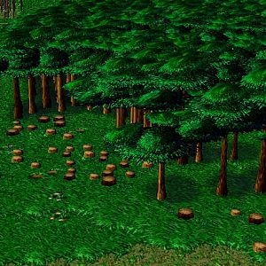 The East Forest. This is where they cut the wood for their uses.