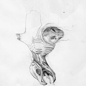 Sketch 2