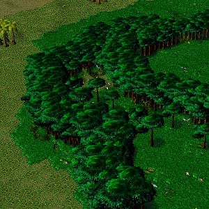 (Updated: 09/09/10)
The Sacred Forest. Check the old one to see a little lore :)
