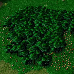 (Updated: 09/09/10)
The forest which they retrieve lumber(no, they don't have any lumberjacks. They cut themselves with some kind of "public" axes, b