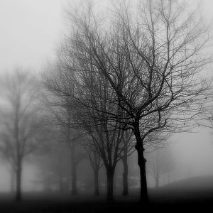 greyday