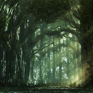 the Forest church 2 by weiweihua