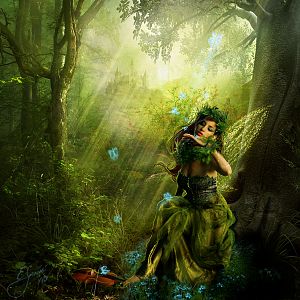 A Forest Lullaby by Ashamyn