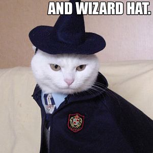 Cat wizard from harry porthead.