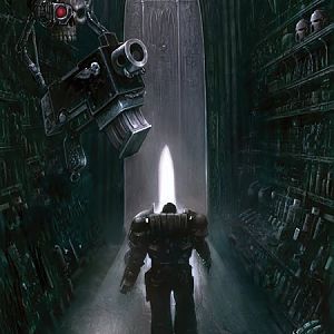 The Long walk by unknown