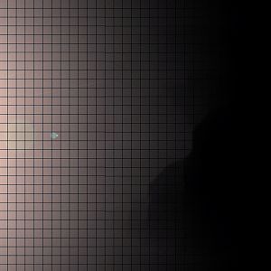 profilebackground