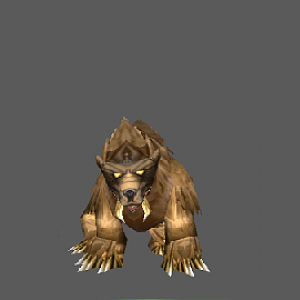 Grizzly Bear