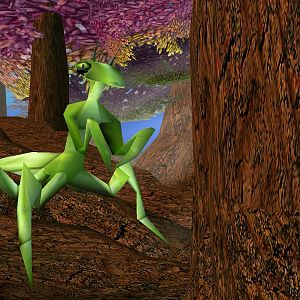 Mantis