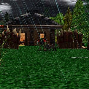 at 12:00 am in the ashenvale forest,peon error_peon(my partner) walk through the forest  and found his lost dog,do-dad at the horde old house in the r