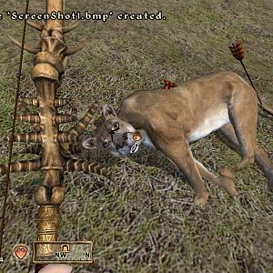 First, I sneaked it for half its health, then as it ran up to me I shot, getting a brilliant headshot. It's eyes are even crossed!