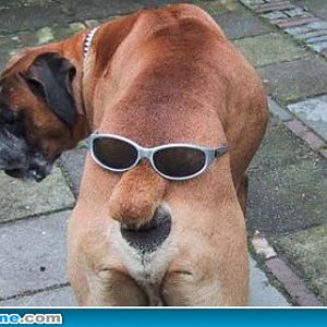 funny picture 1475818506