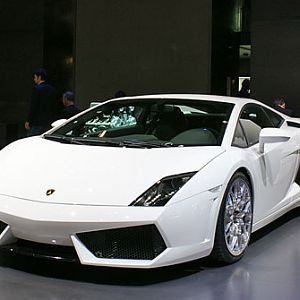 lamborghini gallardo
