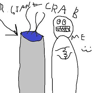 mr crab