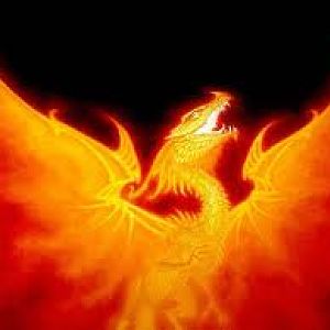 Phoenix Dragon