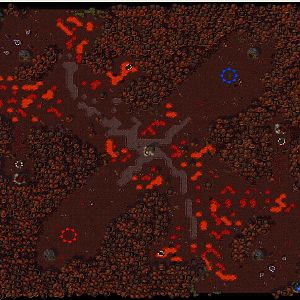 Mushroom battlezone
