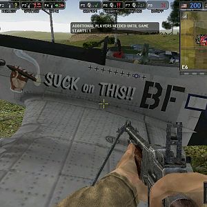 Side writing in an awesome American P-51 Mustang. She's beautiful, isn't she?

~Took from Battlegroup 42, a mod for Battlefield 1942