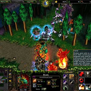 WC3ScrnShot 121810 194928 04