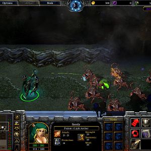 WC3ScrnShot 122910 172643 18
