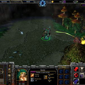 WC3ScrnShot 122910 172703 22