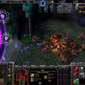 WC3ScrnShot 122910 173132 01
