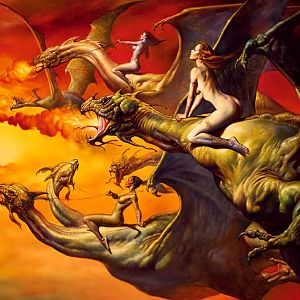 dragons 14