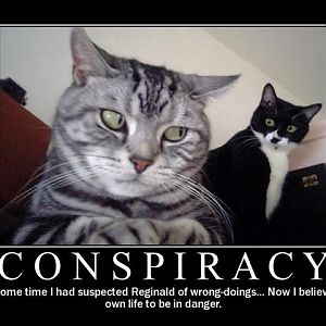 *Puts tinfoil hat on*