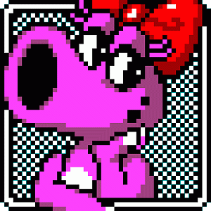 Birdo Animation