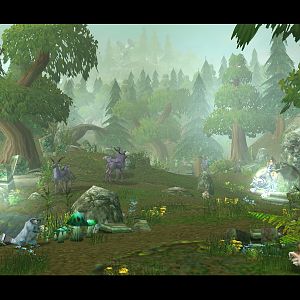 A section of Ashenvale Forest.