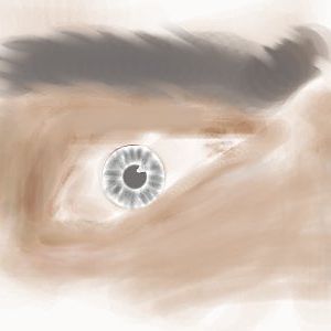 the 1nd one, i think its much more better