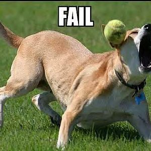 fail 3