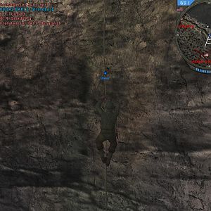 American Soldier, climbing through a Grappling Hook.

~Took from Forgotten Hope 2, a WW2 mod for Battlefield 2.
