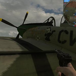 Side writings in a P-51DA, bomber version.

~Took from Forgotten Hope 2, a WW2 mod for Battlefield 2.