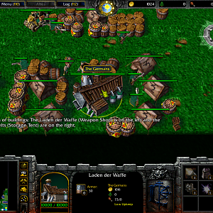 WC3ScrnShot 010511 150037 03