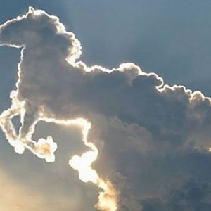 horse cloud