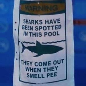 shark warning sign