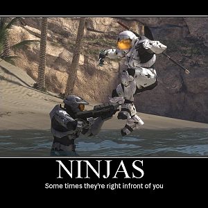 Ninjas 1