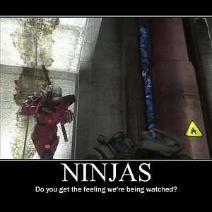 Ninjas 2
