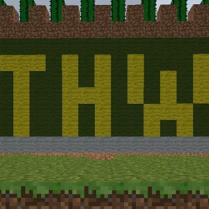 mine craft THW