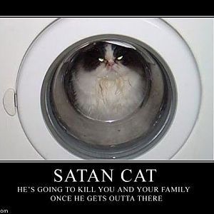 SATAN CAT!