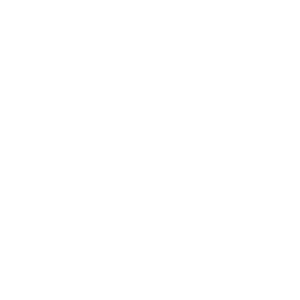 Items