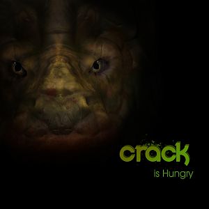 Crack2