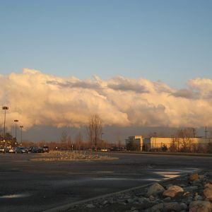 IMG 0206