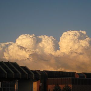 IMG 0207