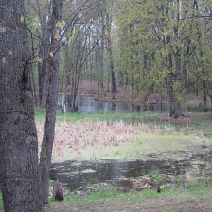 IMG 0232