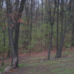 IMG 0237