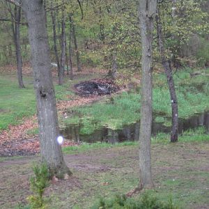 IMG 0245