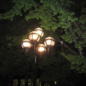 IMG 0254