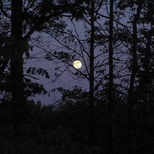 IMG 0277