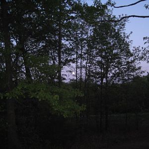 IMG 0278