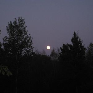 IMG 0282